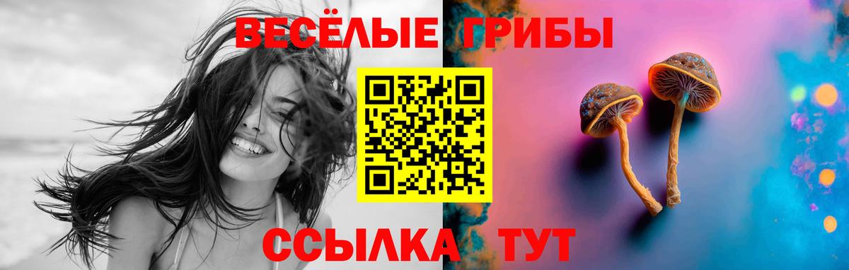 Псилоцибиновые грибы мицелий Челябинск